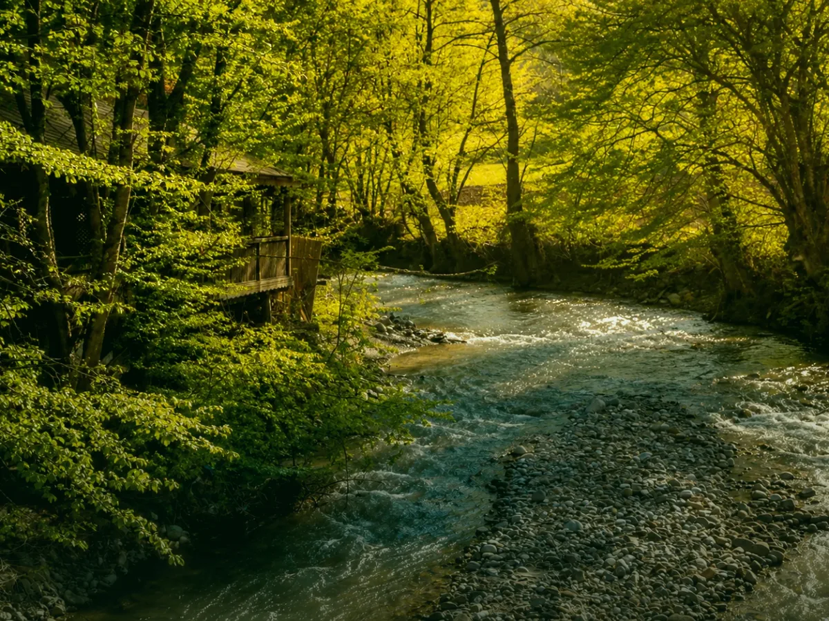 Samandere Şelalesi Bolu doğa gezisi